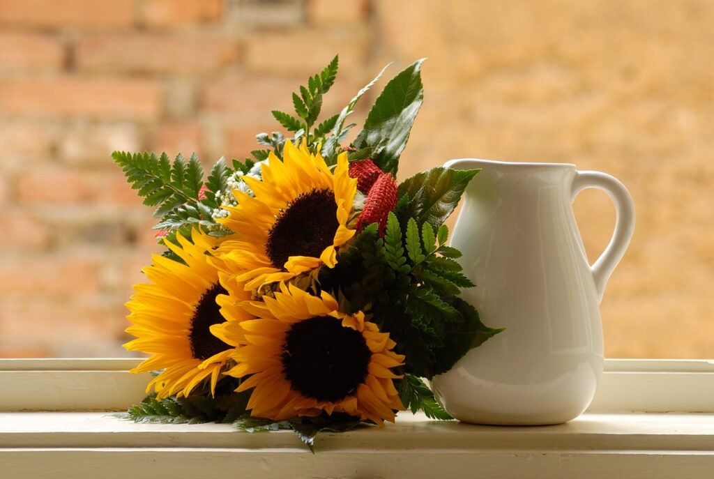 sunflowers and jug